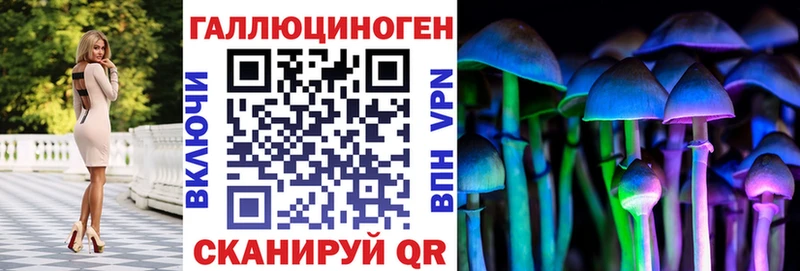 Купить  Онега  Галлюциногенные грибы Psilocybine cubensis 